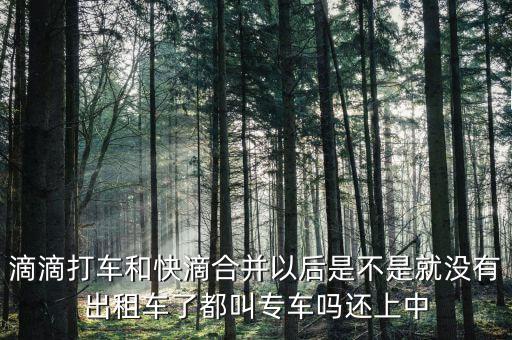 滴滴快滴合并叫什么，滴滴快的合并后叫什么