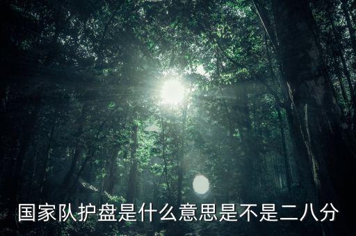 國(guó)家隊(duì)護(hù)盤(pán)是什么意思是不是二八分