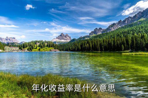 14日年化收益率是什么意思，年化收益率什么意思