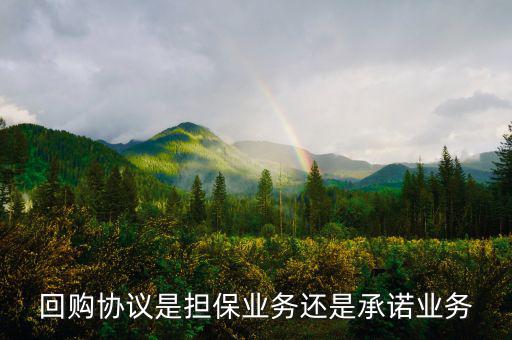 資產(chǎn)回購協(xié)議屬什么合同，股權(quán)轉(zhuǎn)讓及回購協(xié)議屬于借款合同嗎