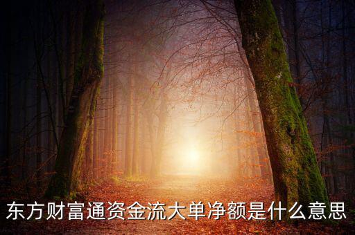 東方財富通資金流大單凈額是什么意思