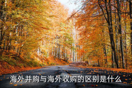 海外并購(gòu)與海外收購(gòu)的區(qū)別是什么
