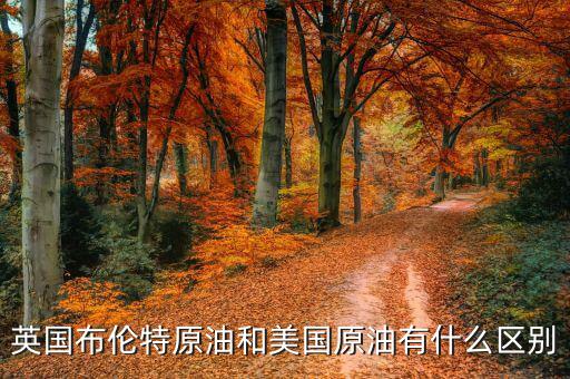 布油與美國(guó)原油有什么不同，英國(guó)布倫特原油和美國(guó)原油有什么區(qū)別