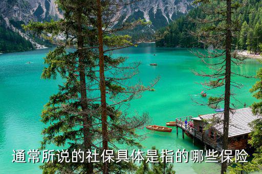 社保包括什么保險，社保具體是指的哪些保險