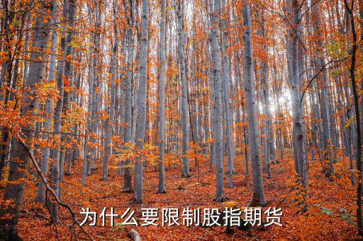 為什么不暫停股指期貨，為什么要限制股指期貨