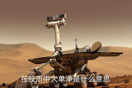大單凈值什么意思，大單凈比是什么意思