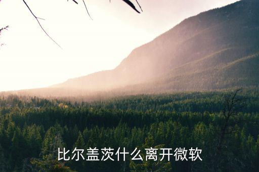 比爾蓋茨為什么退出微軟，比爾蓋茨什么離開(kāi)微軟