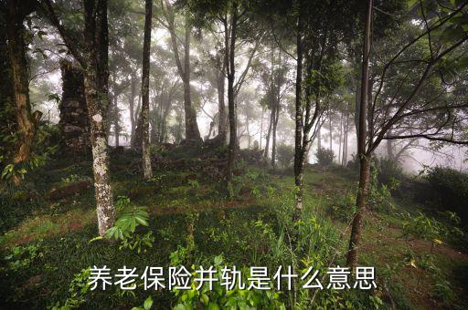 什么是城鄉(xiāng)養(yǎng)老保險(xiǎn)并軌，養(yǎng)老保險(xiǎn)并軌是什么意思