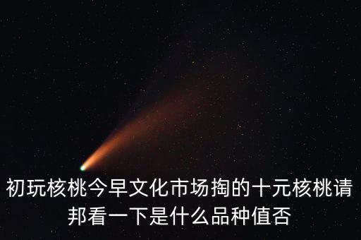 賭核桃是什么品種，請問我這個手玩核桃是什么品種好嗎值多錢