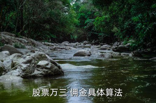 股票萬(wàn)三 傭金具體算法