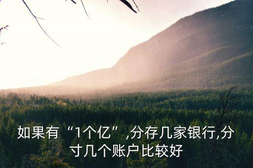 有一個億怎么理財(cái),如果有一億人民幣我會買保時捷911