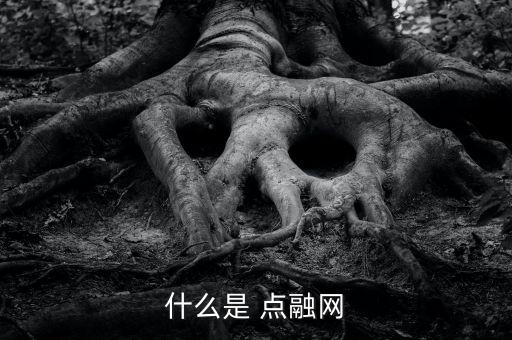 點融網(wǎng)怎么申請貸款,貸款產品相對較少人人貸貸款額度為20萬