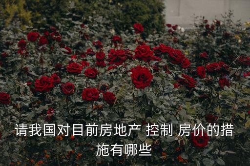請我國對目前房地產 控制 房價的措施有哪些