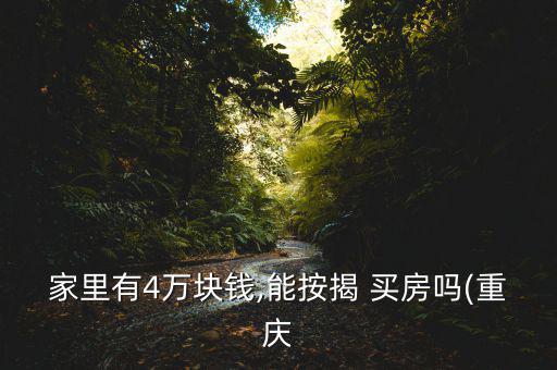 家里有4萬(wàn)塊錢,能按揭 買房嗎(重慶