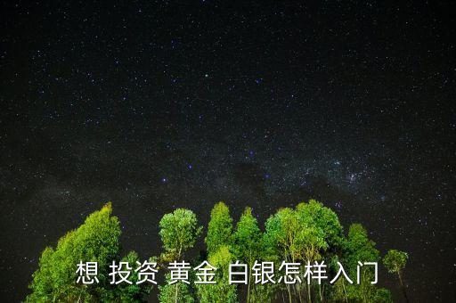 黃金白銀投資怎么玩,黃金紙白銀投資有風險投資需要謹慎