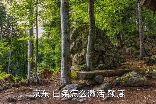 京東白條額度怎么定的,京東白條類似于信用卡用戶無(wú)息借錢購(gòu)物