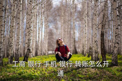工商 銀行 手機(jī) 銀行 轉(zhuǎn)賬怎么開(kāi)通