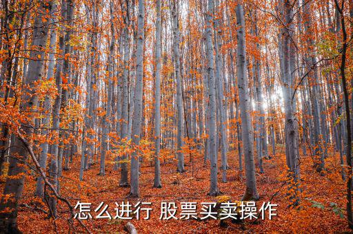 怎么進行 股票買賣操作