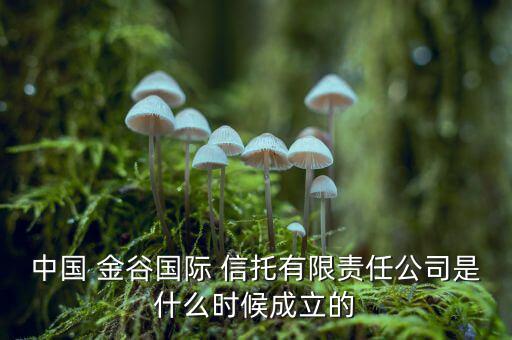 中國 金谷國際 信托有限責(zé)任公司是什么時(shí)候成立的
