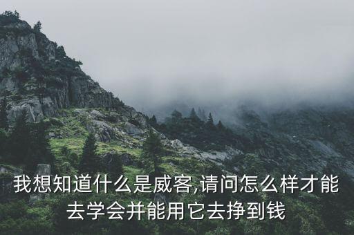 我想知道什么是威客,請(qǐng)問(wèn)怎么樣才能去學(xué)會(huì)并能用它去掙到錢