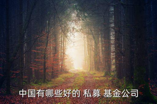 中國(guó)有哪些好的 私募 基金公司