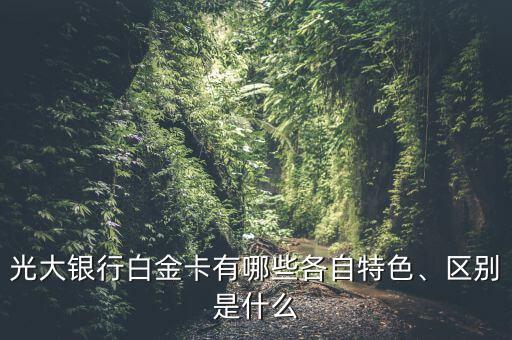 光大銀行白金卡有哪些各自特色、區(qū)別是什么