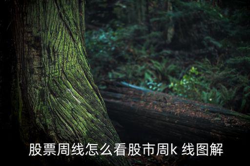 股票周線圖怎么看,周一開(kāi)盤(pán)價(jià)周五收盤(pán)價(jià)繪制成周k線圖