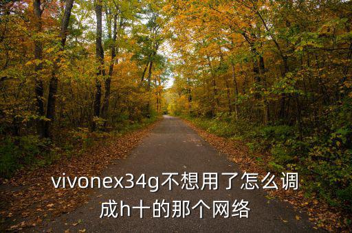 ?h沒有十怎么年,每一個十六進(jìn)制一十進(jìn)制數(shù)有以下特點(diǎn)