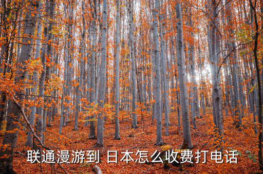  聯(lián)通漫游到 日本怎么收費(fèi)打電話(huà)