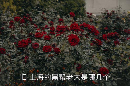 上?；バ沤鹑谠趺礃?上海五國會議機制前身是五國集團主席