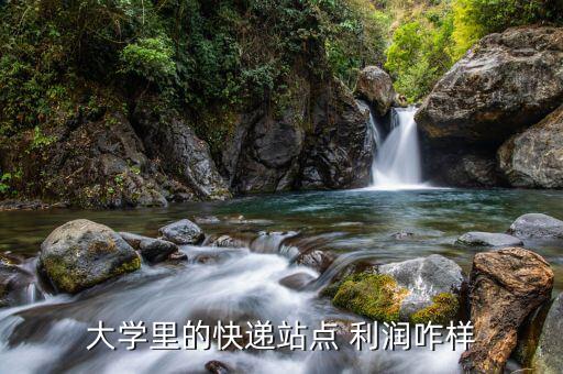 物流利潤(rùn)怎么樣,大學(xué)里的快遞站點(diǎn)利潤(rùn)還是比較印象深刻的