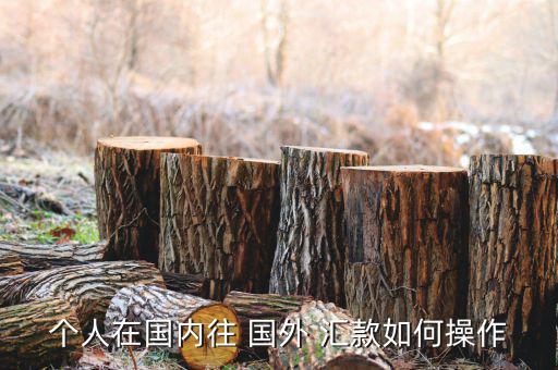 個人在國內(nèi)往 國外 匯款如何操作