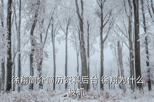 徐翔是怎么回事,徐翔、王偉、犯受賄罪被判入獄五年半
