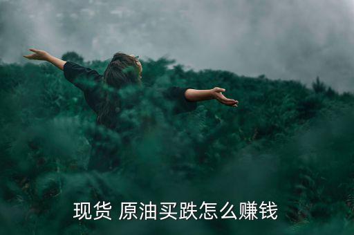 t十0原油可以買(mǎi)跌么怎么算利潤(rùn),原油買(mǎi)跌怎么賺?