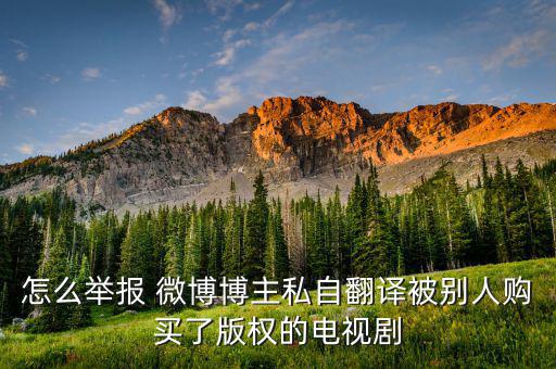 怎么舉報(bào) 微博博主私自翻譯被別人購(gòu)買(mǎi)了版權(quán)的電視劇