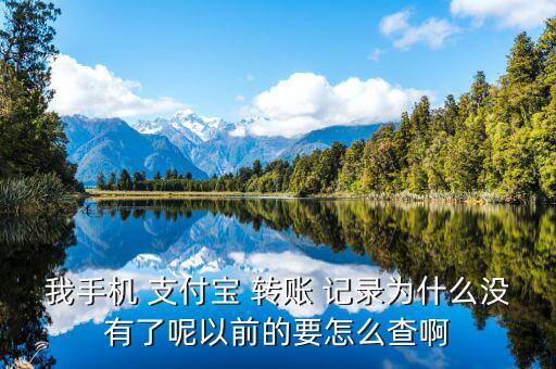 我手機(jī) 支付寶 轉(zhuǎn)賬 記錄為什么沒有了呢以前的要怎么查啊