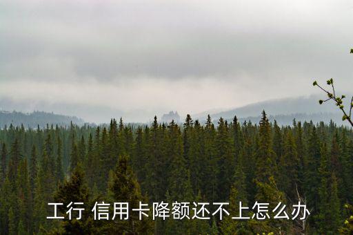 工行信用卡降低額度怎么辦,信用卡消費(fèi)者應(yīng)如何還款?