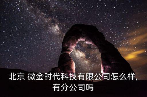 北京 微金時(shí)代科技有限公司怎么樣,有分公司嗎