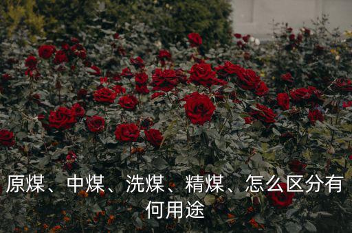 原煤、中煤、洗煤、精煤、怎么區(qū)分有何用途