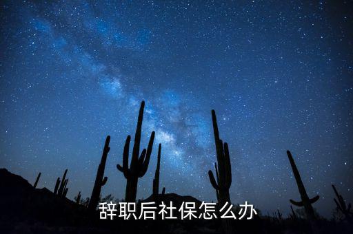 農(nóng)民工辭職后養(yǎng)老保險怎么辦,農(nóng)民工離職后怎么轉移保險?