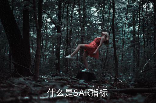 什么是SAR指標