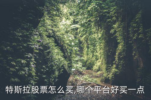 深越光電怎么樣,手機(jī)屏幕廠商在中西部加速布局出貨量上升趨勢