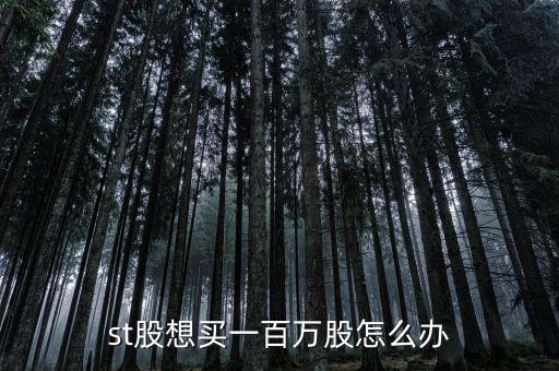 st股想買一百萬股怎么辦