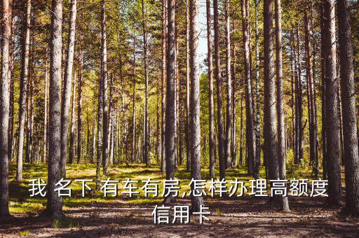 我 名下 有車(chē)有房,怎樣辦理高額度 信用卡