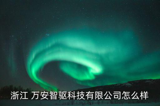 浙江 萬安智驅科技有限公司怎么樣