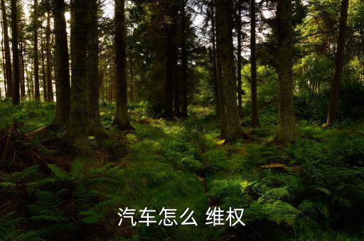車(chē)子維權(quán)怎么寫(xiě),國(guó)內(nèi)第三方汽車(chē)質(zhì)量投訴平臺(tái)車(chē)之網(wǎng)正式上線(xiàn)