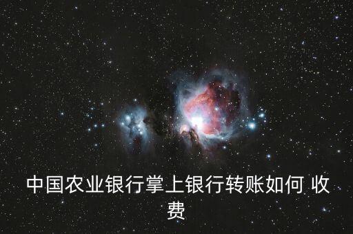  中國農業(yè)銀行掌上銀行轉賬如何 收費