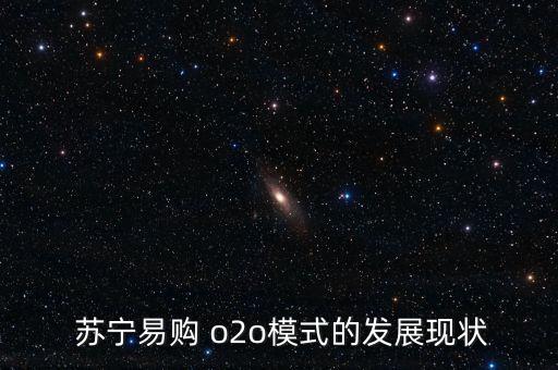 蘇寧o2o怎么買,走020商業(yè)模式蘇寧更名為蘇寧樂(lè)購(gòu)
