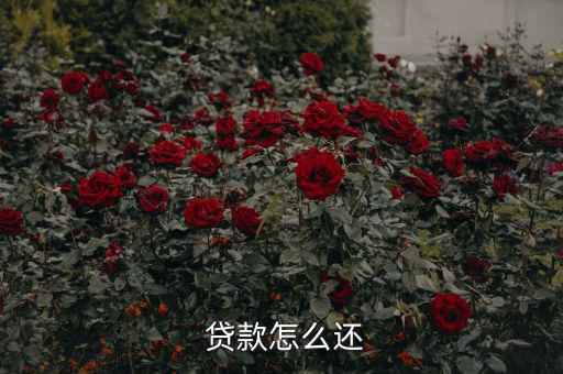 貸款怎么還合適,中國銀行推出等額本息、月均本金等還款方式