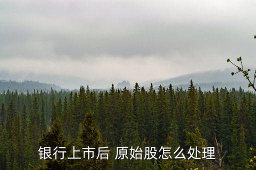原始股怎么轉(zhuǎn)讓,上市公司原始股東可在指定證券交易場所轉(zhuǎn)讓